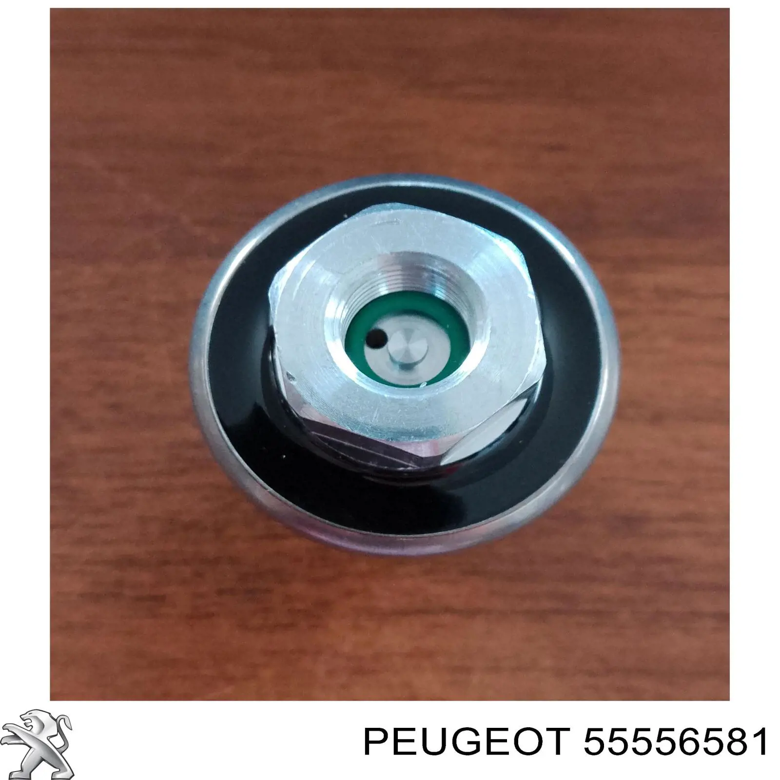  Peugeot/Citroen 55556581 ціна, від 44.79 USD