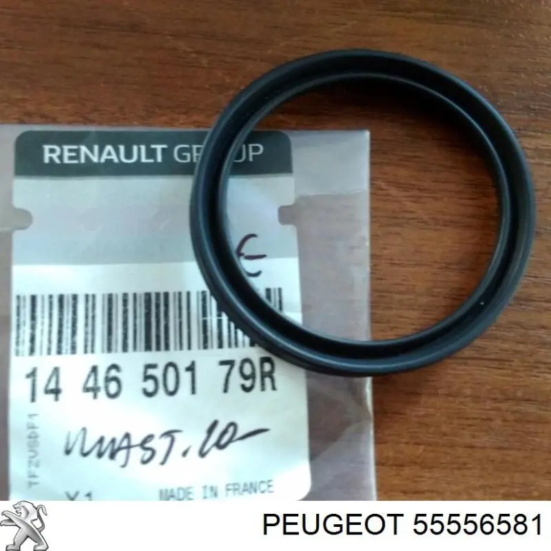 Купити 55556581 Peugeot/Citroen 