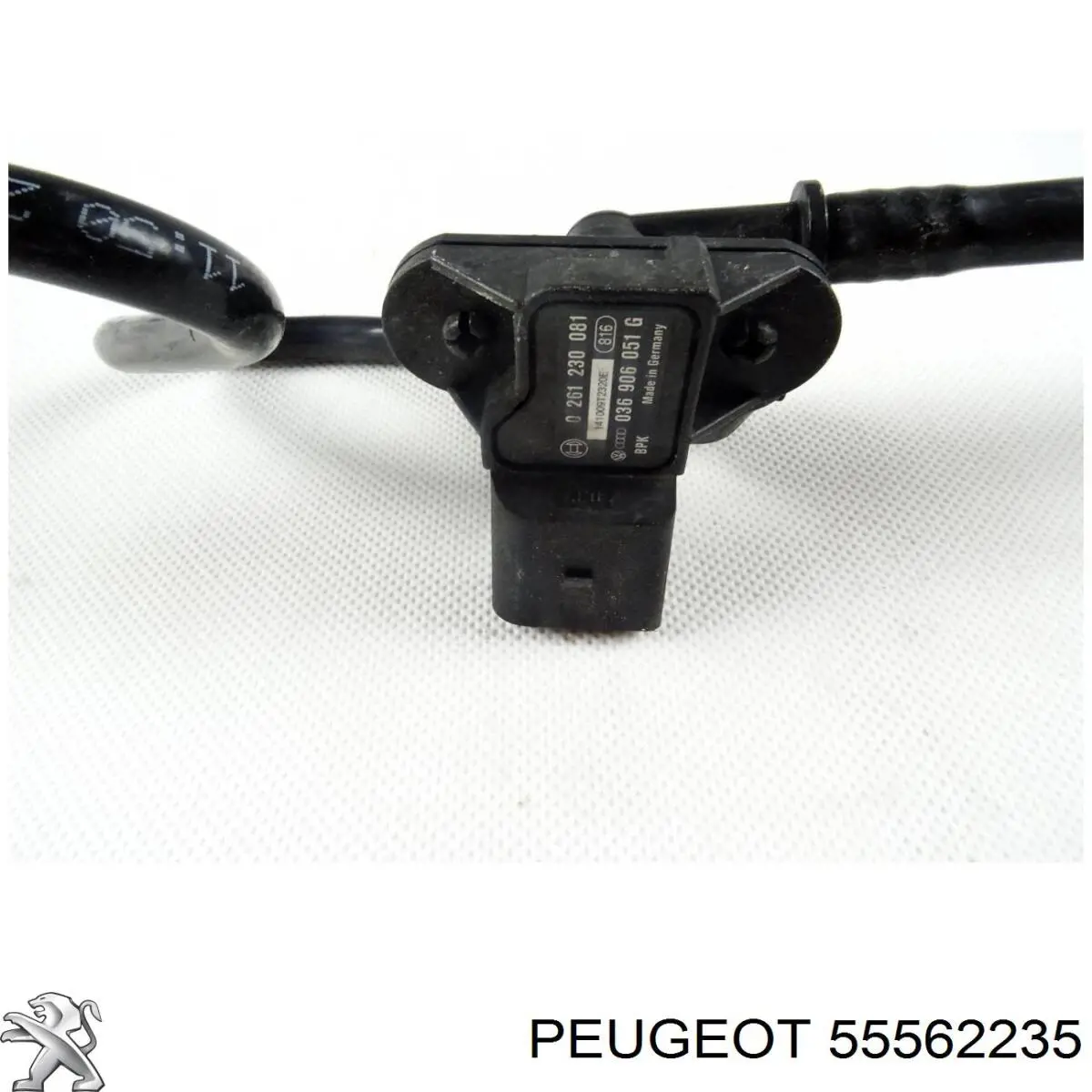 Купити 55562235 Peugeot/Citroen Натягувач ланцюга ГРМ