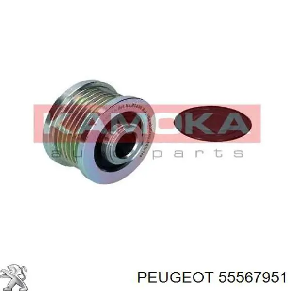 55567951 Peugeot/Citroen шків генератора
