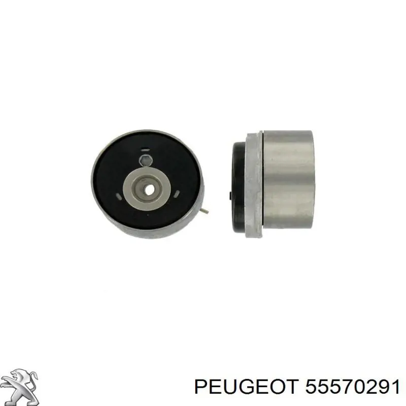  Opel 55570291