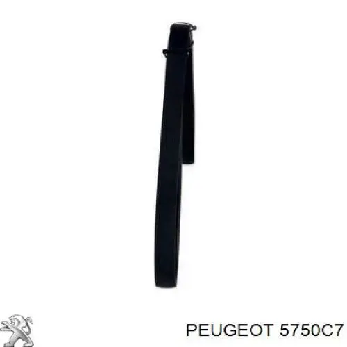 Купити 5750C7 Peugeot/Citroen Ремінь генератора