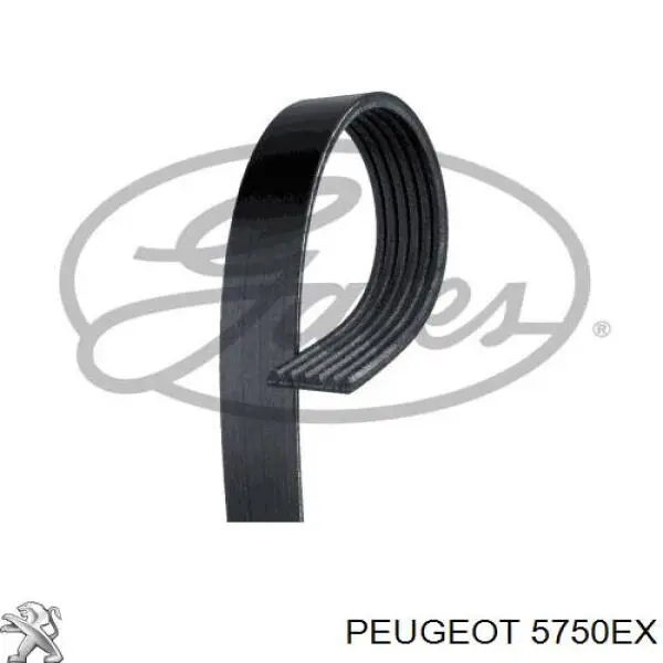 5750EX Peugeot/Citroen ремінь приводний, агрегатів