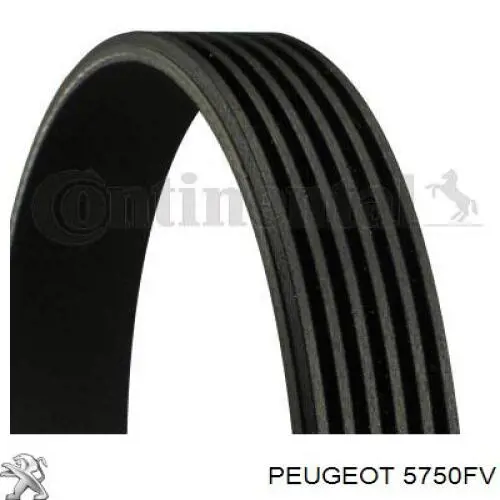 Ремінь генератора 5750FV Peugeot/Citroen