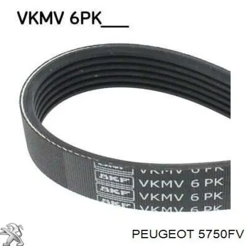 Клиновий ремінь Peugeot/Citroen 5750FV ціна, від 9.01 USD