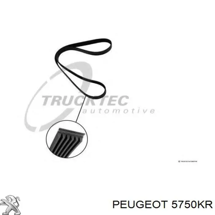 Ремінь генератора 5750KR Peugeot/Citroen