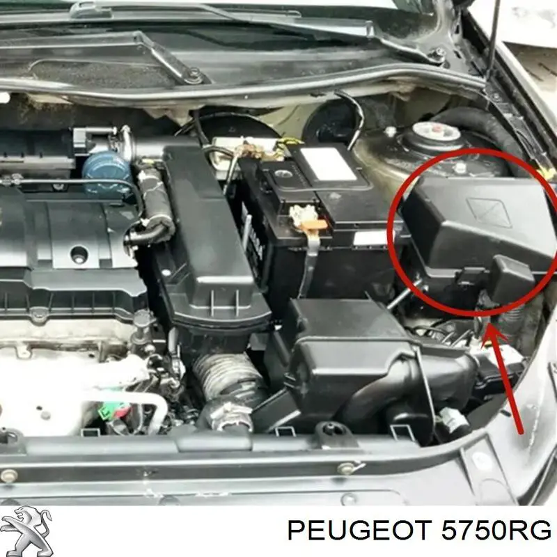 Ремінь кондиціонера Peugeot/Citroen 5750RG