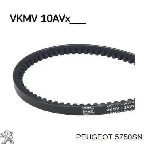 5750SN Peugeot/Citroen Поліклиновий ремінь