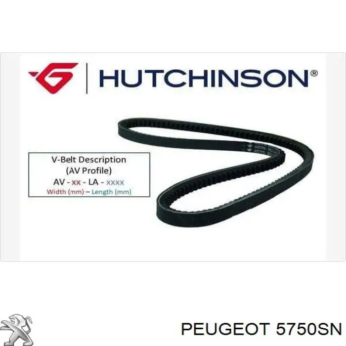 Купити 5750SN Peugeot/Citroen Ремінь генератора