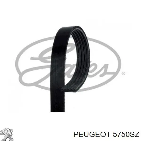 Купити 5750SZ Peugeot/Citroen Ремінь генератора