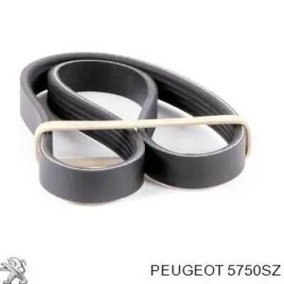 Ремінь генератора 5750SZ Peugeot/Citroen