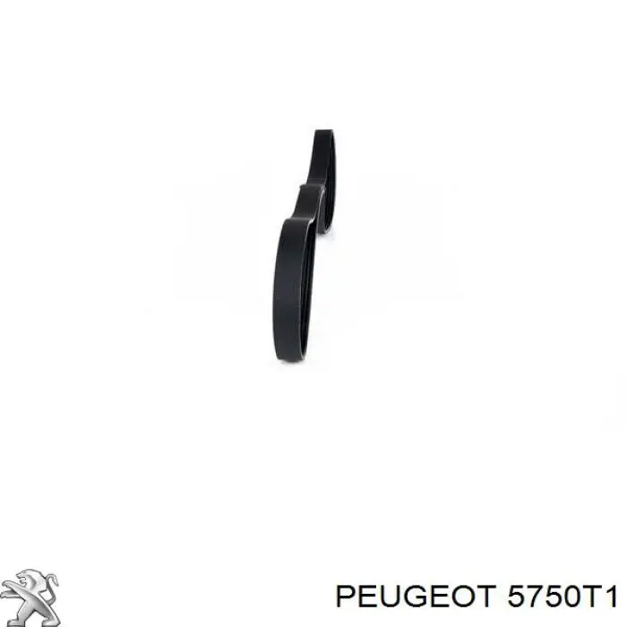 Ремінь генератора 5750T1 Peugeot/Citroen