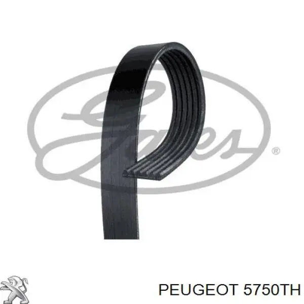 5750TH Peugeot/Citroen ремінь приводний, агрегатів