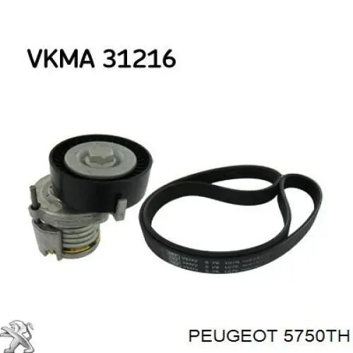 Купити 5750TH Peugeot/Citroen Ремінь генератора
