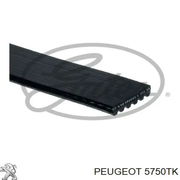 Купити 5750TK Peugeot/Citroen Ремінь генератора
