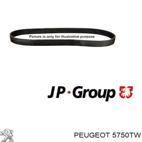 5750TW Peugeot/Citroen ремінь приводний, агрегатів