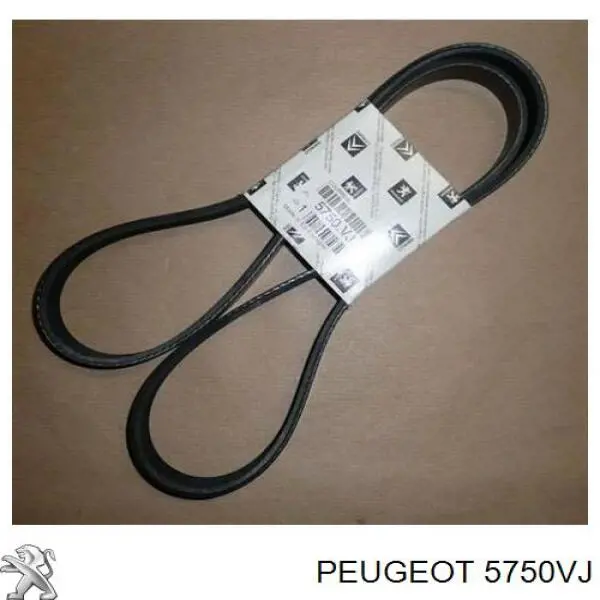 Клиновий ремінь Peugeot/Citroen 5750VJ ціна, від 13.48 USD