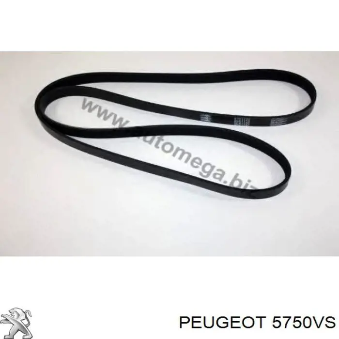 5750VS Peugeot/Citroen Поліклиновий ремінь