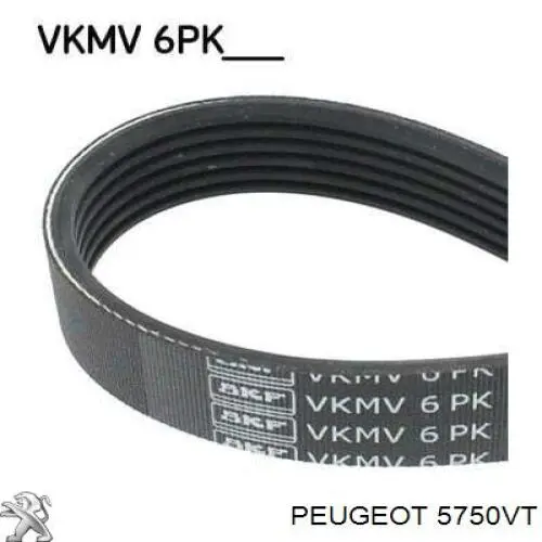 Клиновий ремінь Peugeot/Citroen 5750VT ціна, від 7.89 USD