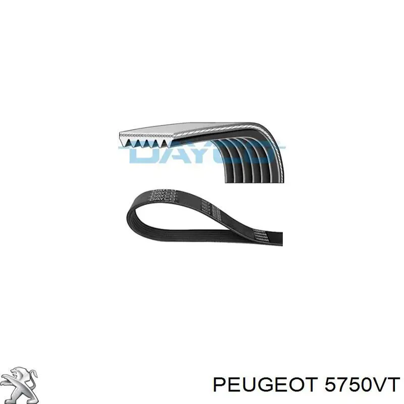 Купити 5750VT Peugeot/Citroen Ремінь генератора