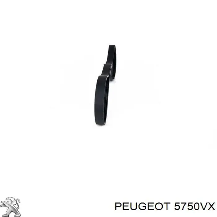 Ремінь генератора 5750VX Peugeot/Citroen