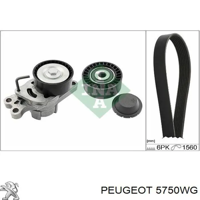 Купити 5750WG Peugeot/Citroen Ремінь генератора