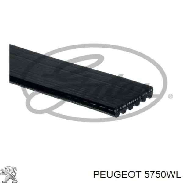 Ремінь генератора 5750WL Peugeot/Citroen