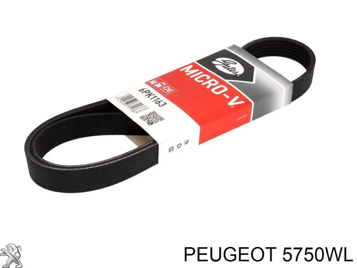 Купити 5750WL Peugeot/Citroen Ремінь генератора