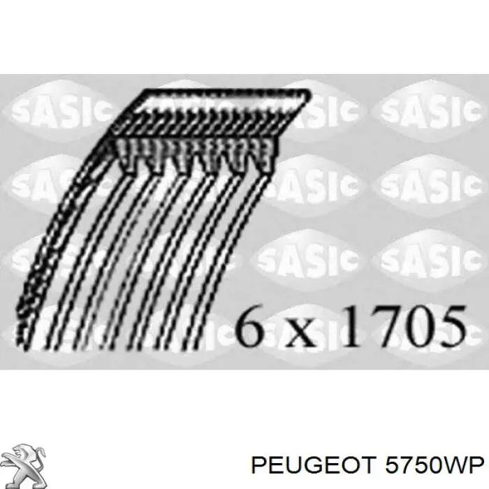 Купити 5750WP Peugeot/Citroen Ремінь генератора