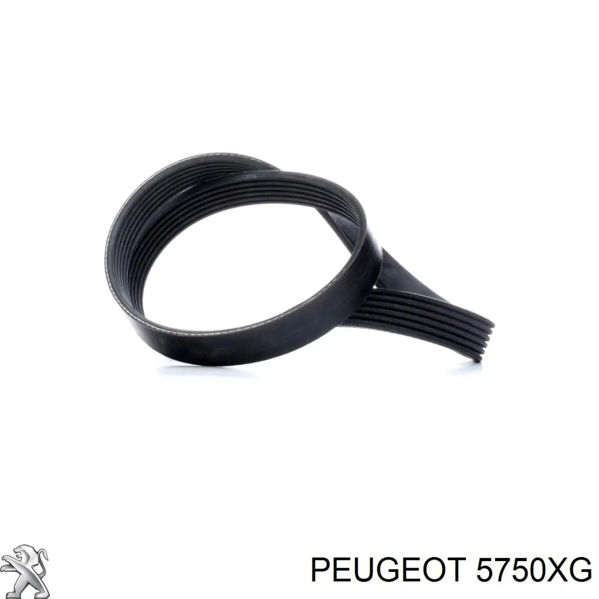 Купити 5750XG Peugeot/Citroen Ремінь генератора