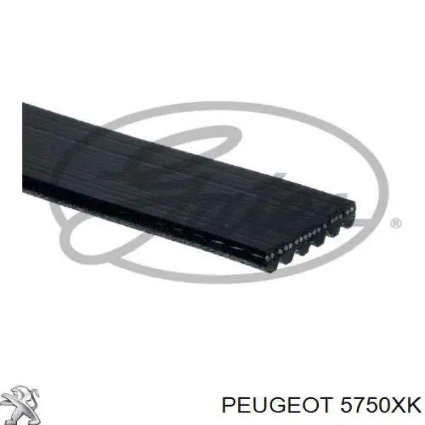 5750XK Peugeot/Citroen ремінь приводний, агрегатів