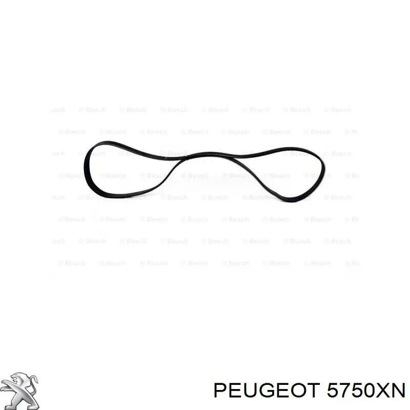 5750XN Peugeot/Citroen Поліклиновий ремінь