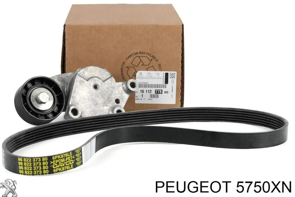 Ремінь генератора 5750XN Peugeot/Citroen