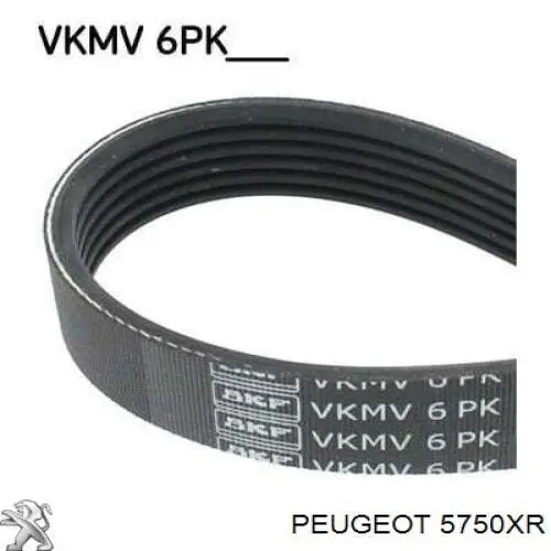 Купити 5750XR Peugeot/Citroen Ремінь генератора