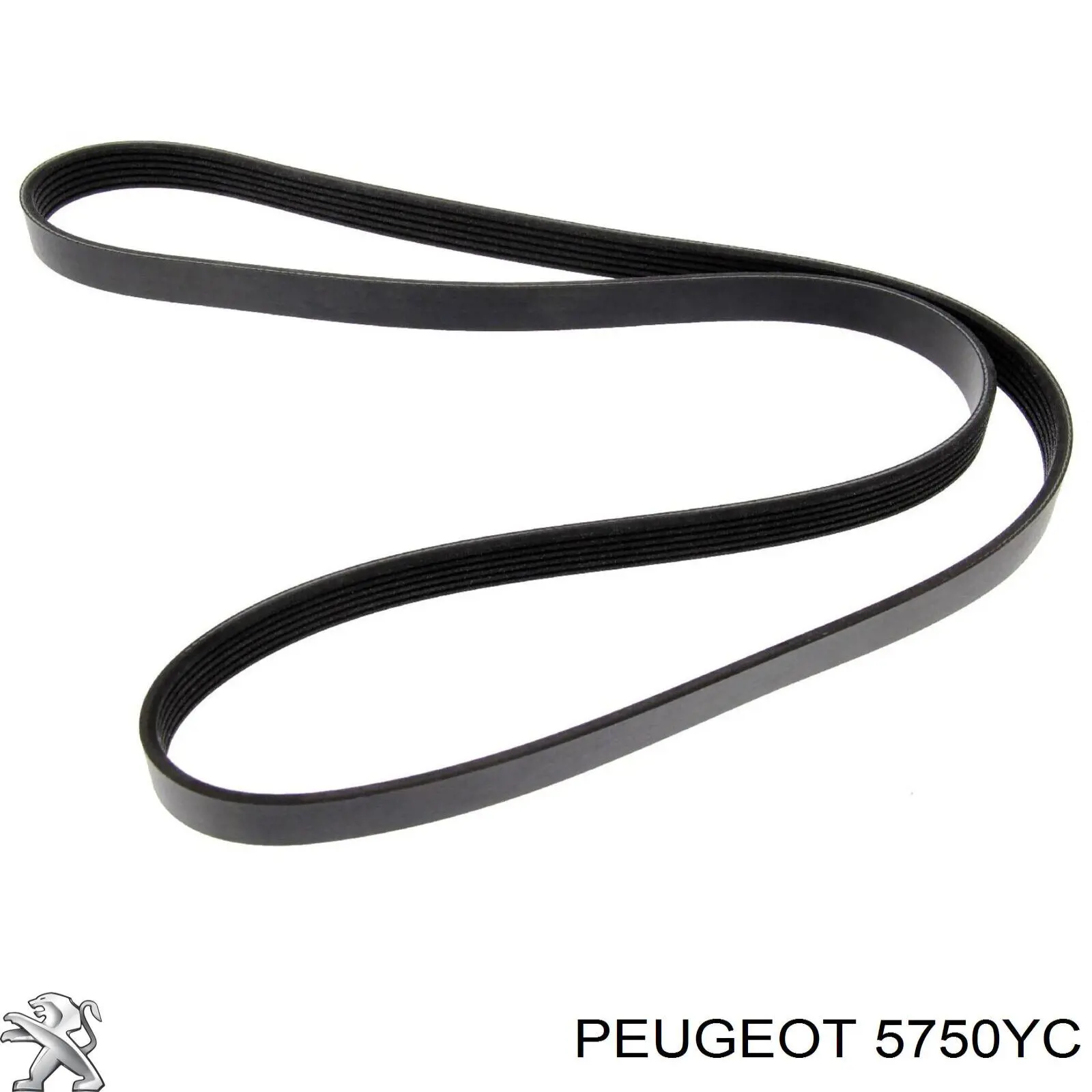 Клиновий ремінь Peugeot/Citroen 5750YC ціна, від 13.14 USD