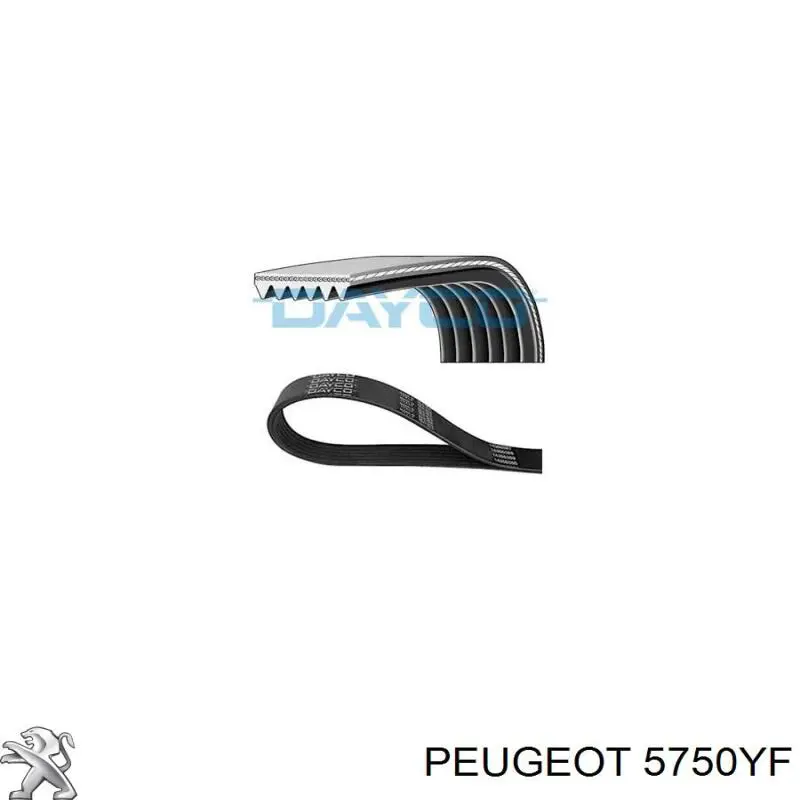 Клиновий ремінь Peugeot/Citroen 5750YF ціна, від 16.08 USD