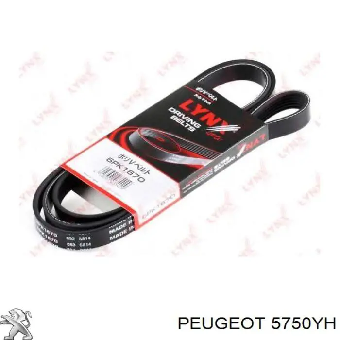 Клиновий ремінь Peugeot/Citroen 5750YH ціна, від 14.42 USD
