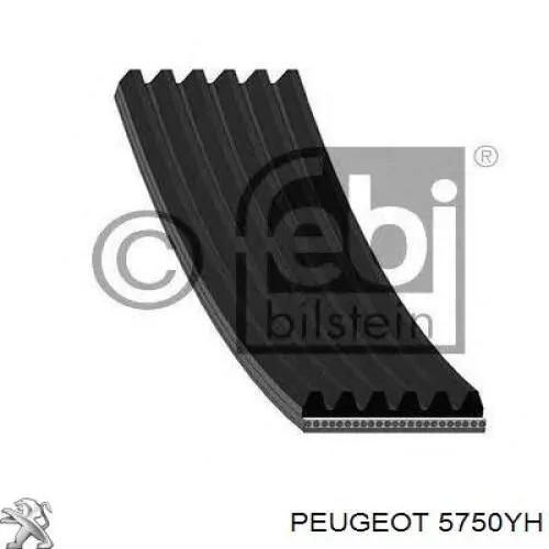 Купити 5750YH Peugeot/Citroen Ремінь генератора