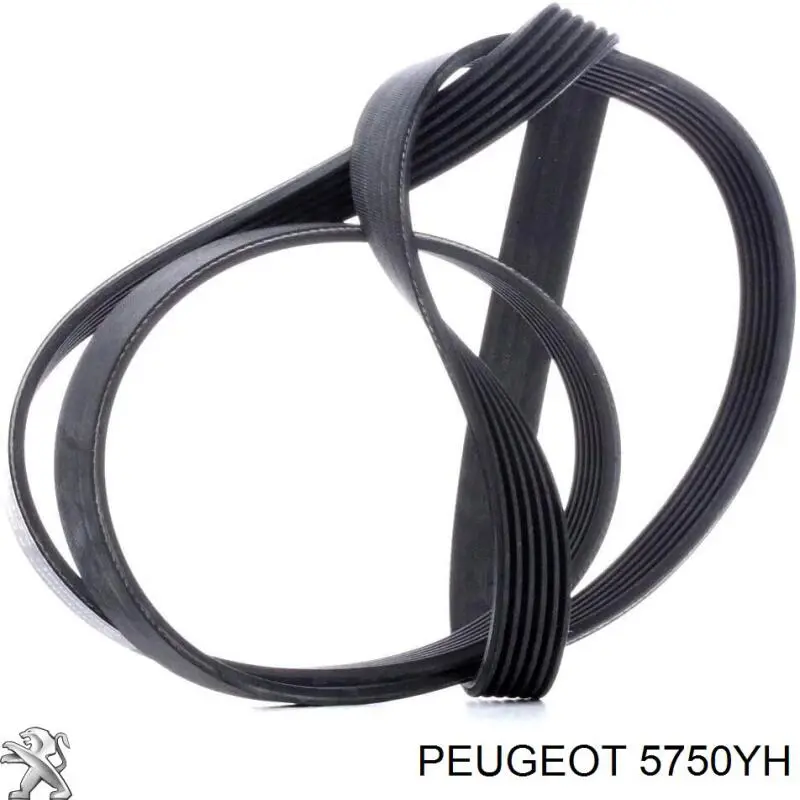 5750YH Peugeot/Citroen Поліклиновий ремінь