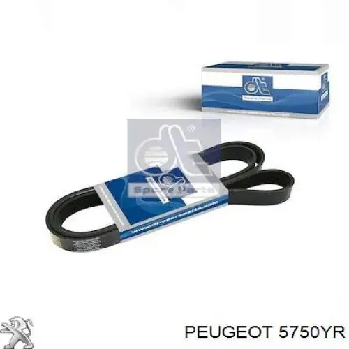 5750YR Peugeot/Citroen ремінь приводний, агрегатів