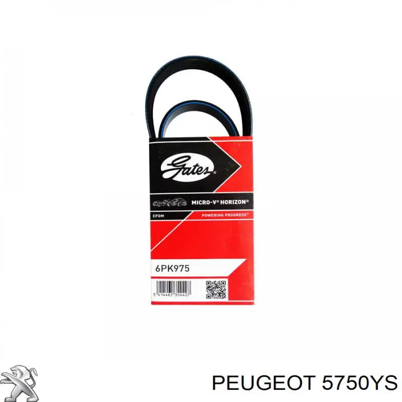 Клиновий ремінь Peugeot/Citroen 5750YS ціна, від 9.56 USD
