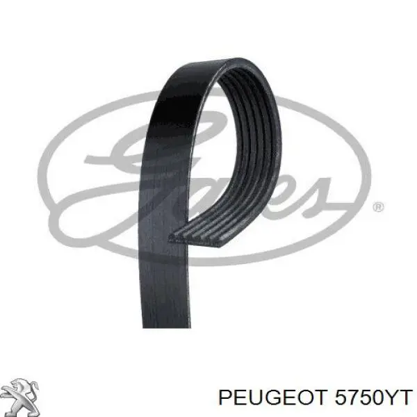 5750YT Peugeot/Citroen ремінь приводний, агрегатів