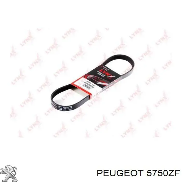 Клиновий ремінь Peugeot/Citroen 5750ZF ціна, від 8.60 USD