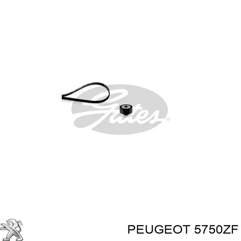 Ремінь генератора 5750ZF Peugeot/Citroen