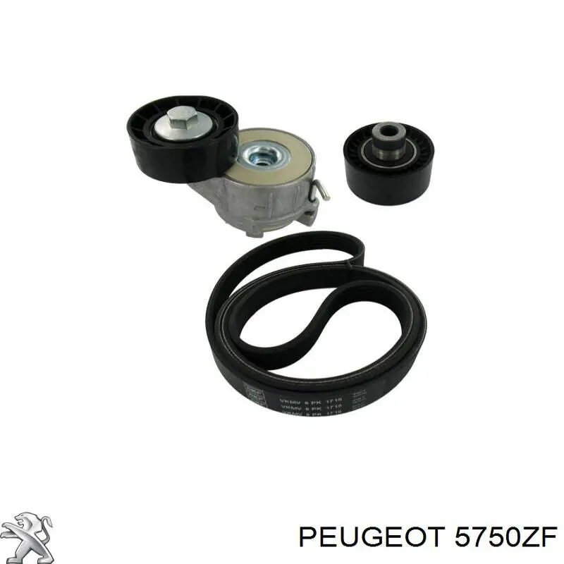 Купити 5750ZF Peugeot/Citroen Ремінь генератора