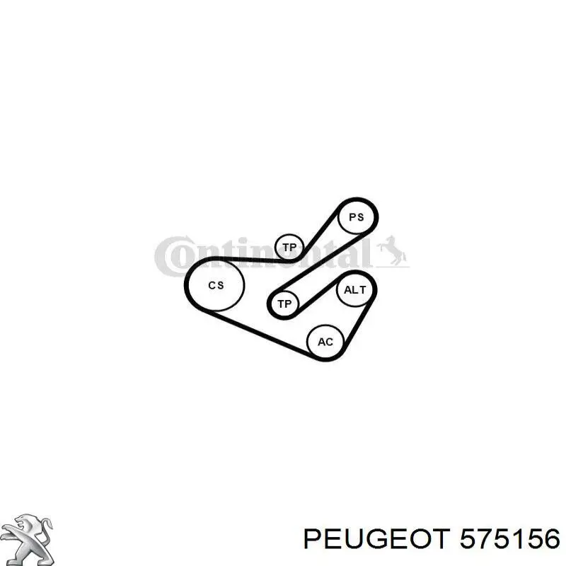 Ролик натягувача приводного ременя Peugeot/Citroen 575156