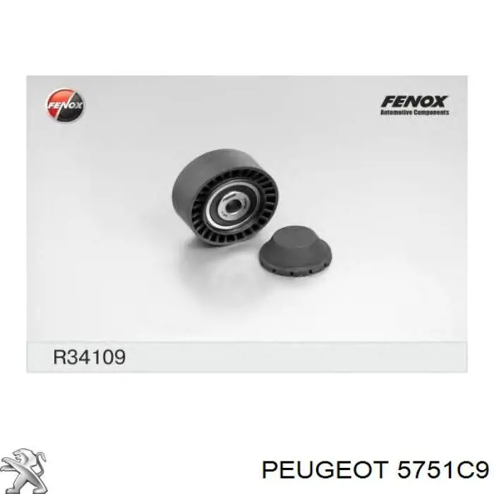 5751C9 Peugeot/Citroen ролик приводного ременя, паразитний