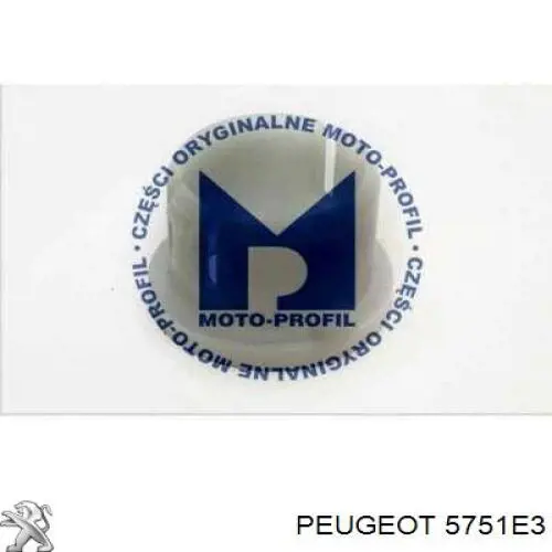 Натяжний ролик 1611422780 Peugeot/Citroen