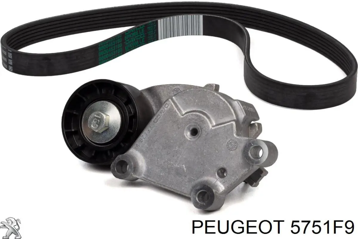 Купити 5751F9 Peugeot/Citroen Натягувач приводного ременя