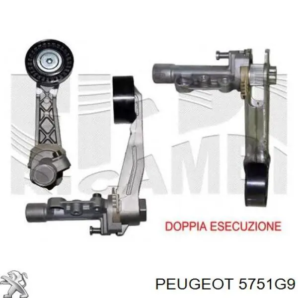 5751G9 Peugeot/Citroen Натяжна планка поліклинового ременя